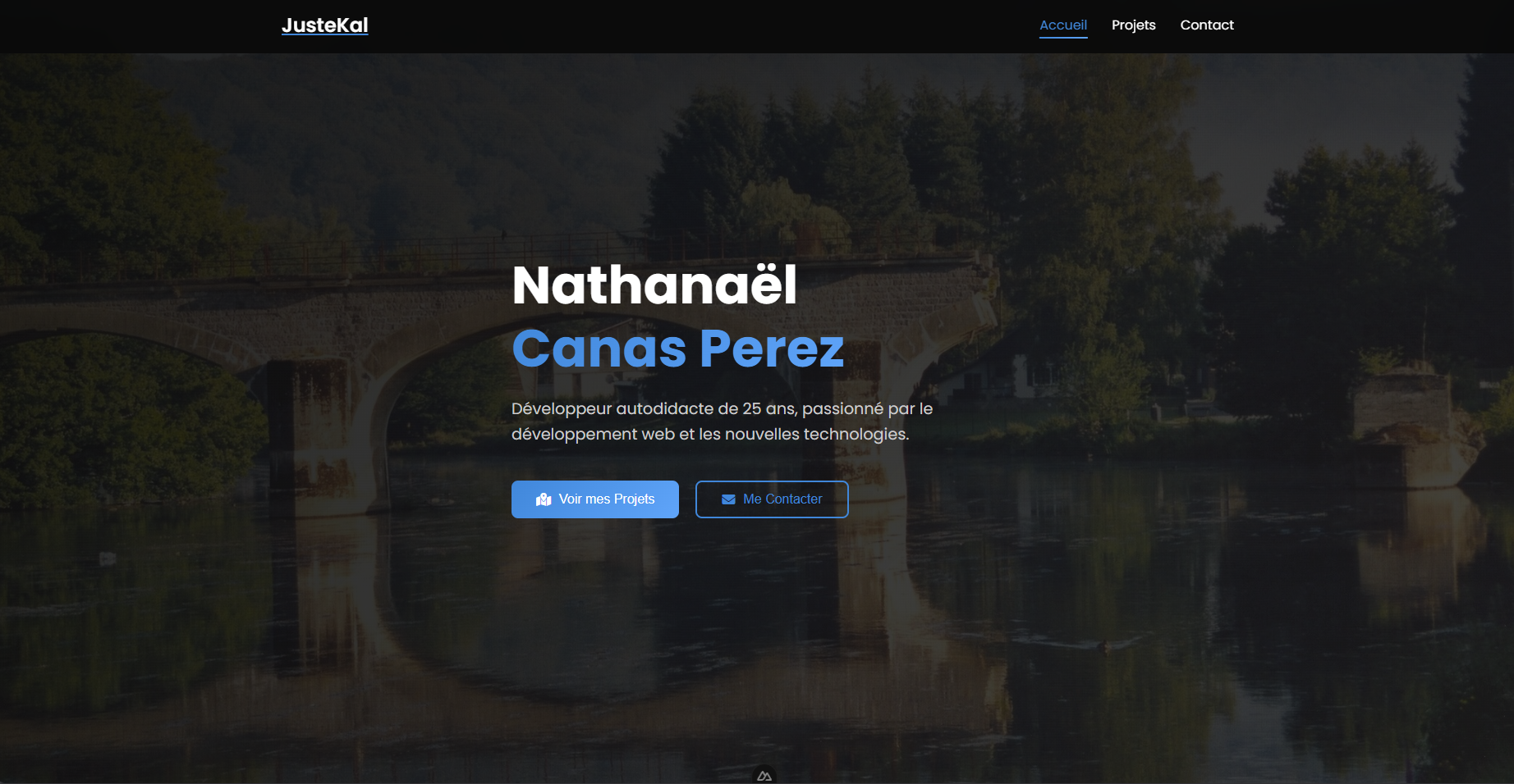Portfolio technique